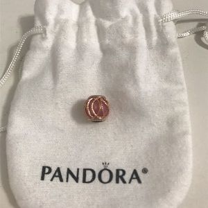 Pandora Intertwining Radiance Charm